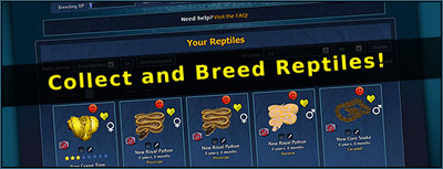 Reptile Breeder Game 2! | Reptile Forums